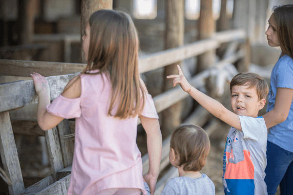 12 Lugares Divertidos para Levar Crianças de 1 Ano - Fazenda. Foto: Reprodução / Canva