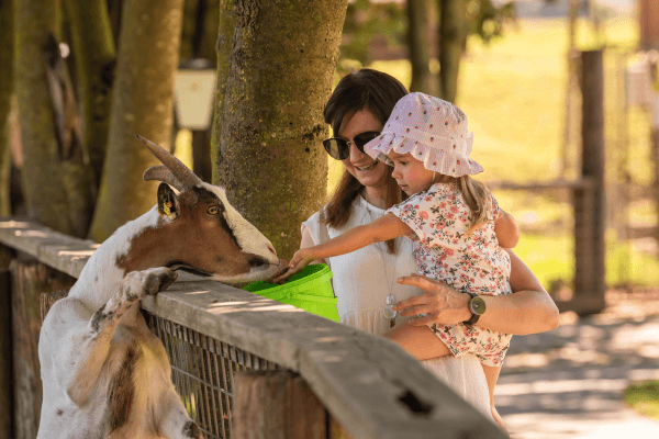 12 Lugares Divertidos para Levar Crianças de 1 Ano - Zoológico. Foto: Reprodução / Canva