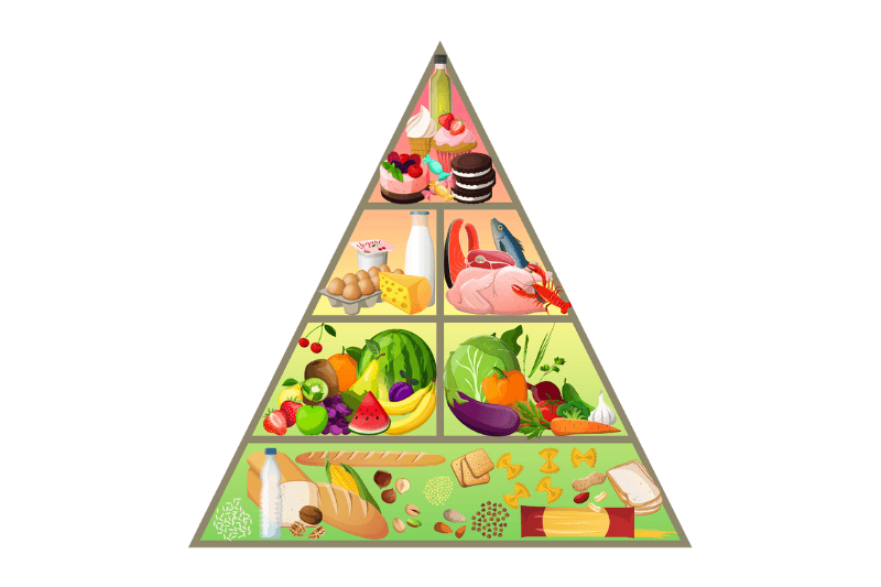 Piramide Alimentar Grupos Alimentares OMS